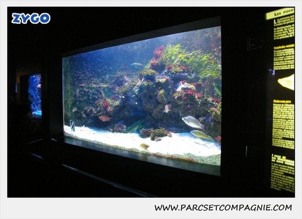 Musee Oceanographique - Monaco 042