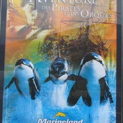 Marineland - divers