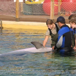 Marineland - Lagoon - Rencontre avec les dauphins