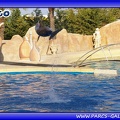 Marineland_-_Dauphins_-_Spectacle_-_Beach_Party_-_1960.jpg