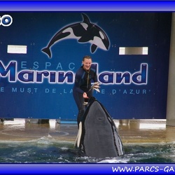 Marineland - Orques - Spectacle