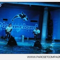 Marineland_-_Orques_-_Spectacle_nocturne_-_4752.jpg