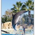 Marineland - Dauphins - Spectacle - 14h30 - 5874