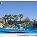 Marineland - Dauphins - Spectacle - 14h30 - 5877