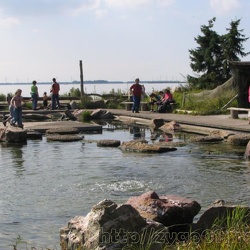 Dolfinarium Harderwijk - Autres photos de la lagune - Annee 2005