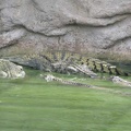 La ferme aux crocodiles 062