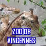 Zoo de Vincenne