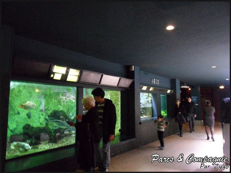 aquarium-porte-doree-041_GF.jpg