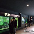 aquarium-porte-doree-041 GF