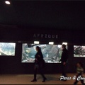 aquarium-porte-doree-086 GF
