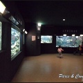 aquarium-porte-doree-153 GF