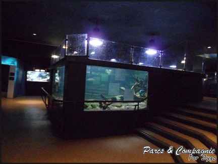 aquarium-porte-doree-175 GF