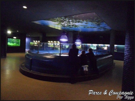 aquarium-porte-doree-176 GF
