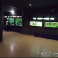 aquarium-porte-doree-177 GF