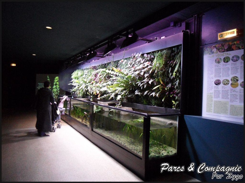 aquarium-porte-doree-186_GF.jpg
