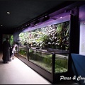 aquarium-porte-doree-186 GF