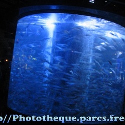 Musee Oceanographique - Monaco - Aquariums
