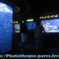 Musee Oceanographique - Monaco 043