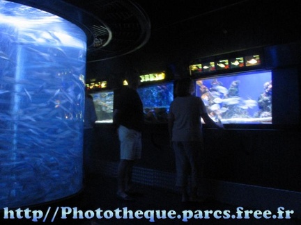 Musee Oceanographique - Monaco 043