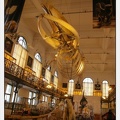 Musee Oceanographique - Monaco 002