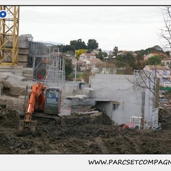 008 Flocke et Rasputin - 28 Fevrier 2010 - Travaux