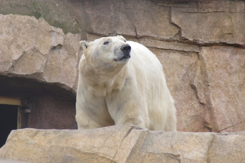 Marineland-116.JPG