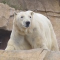 Marineland-117.JPG