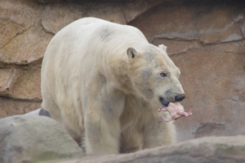 Marineland-118.JPG