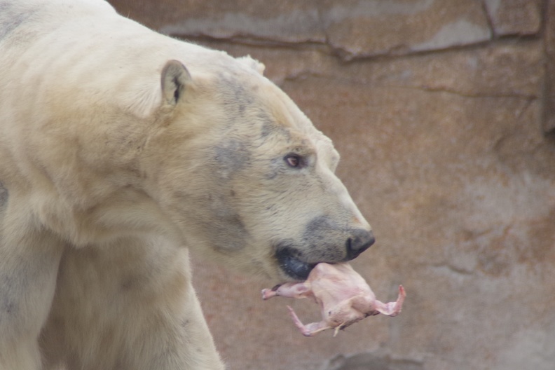 Marineland-119.JPG