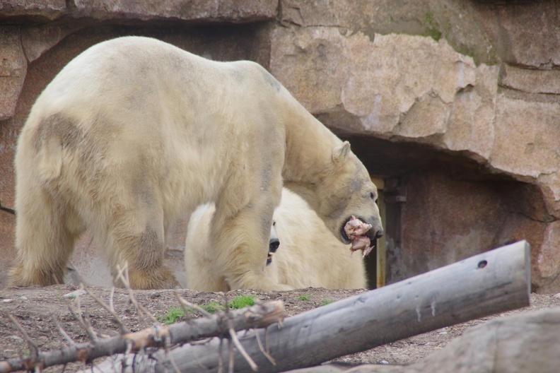 Marineland-121.JPG