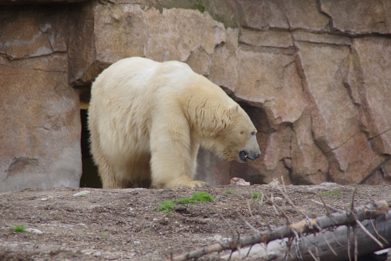 Marineland-124.JPG