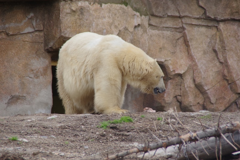 Marineland-125.JPG