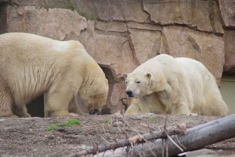 Marineland-126.JPG