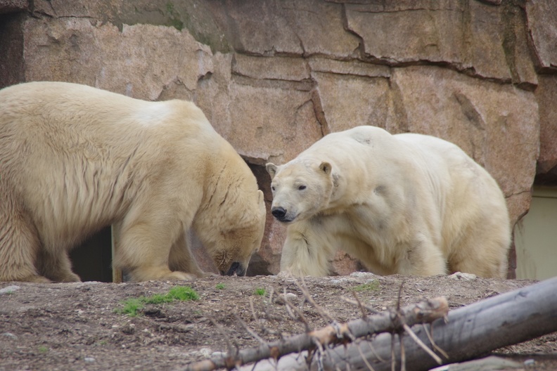 Marineland-127.JPG