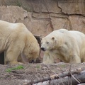 Marineland-127.JPG