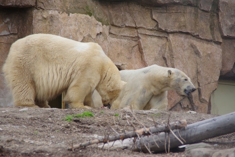 Marineland-128.JPG