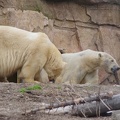 Marineland-128.JPG