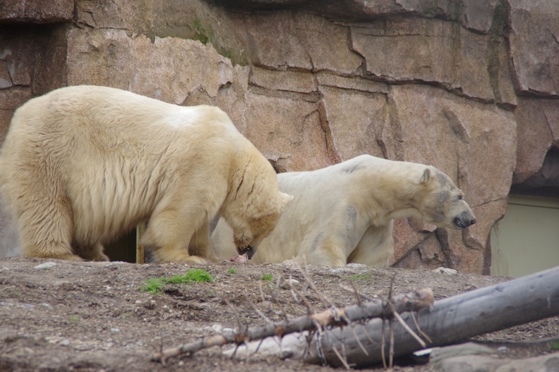 Marineland-129.JPG