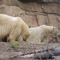 Marineland-129