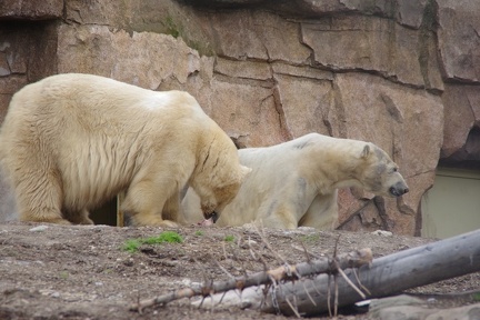 Marineland-129