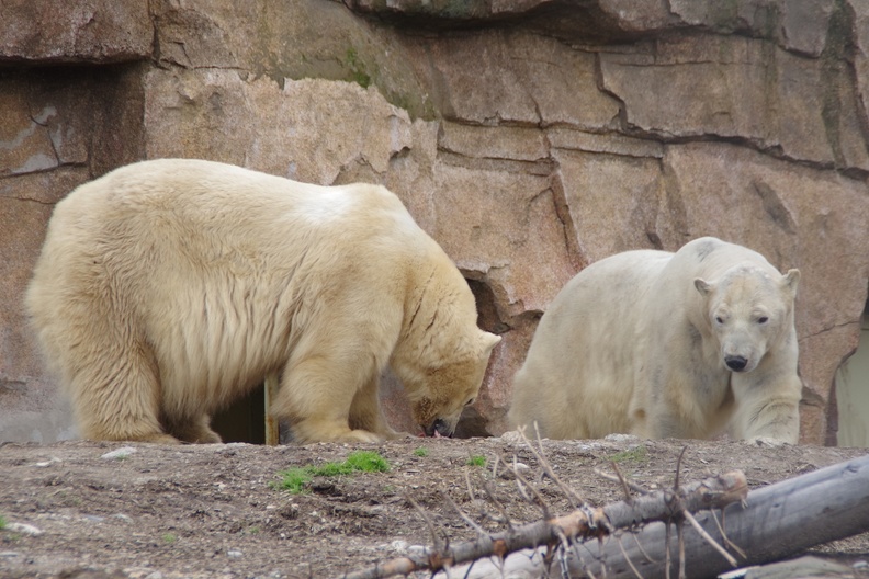 Marineland-130