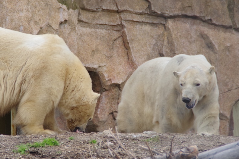 Marineland-131.JPG