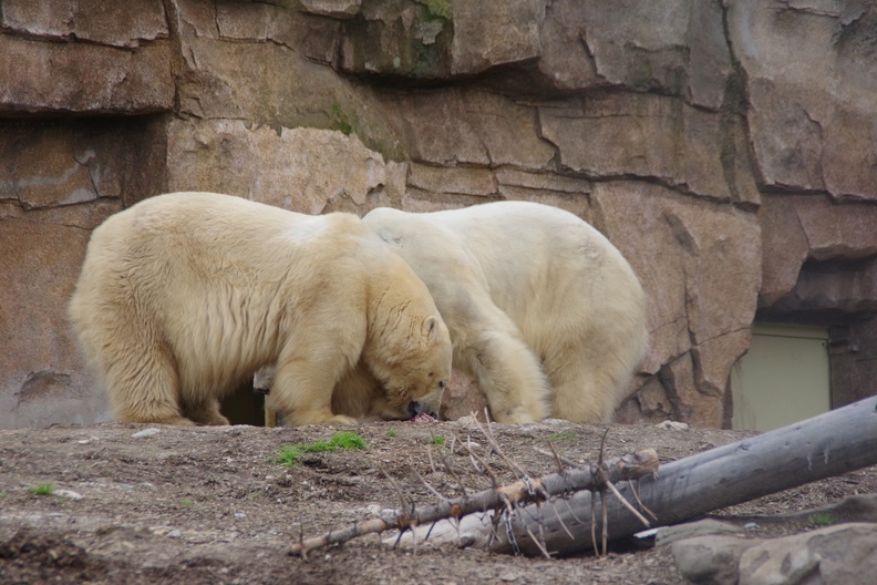 Marineland-133.JPG