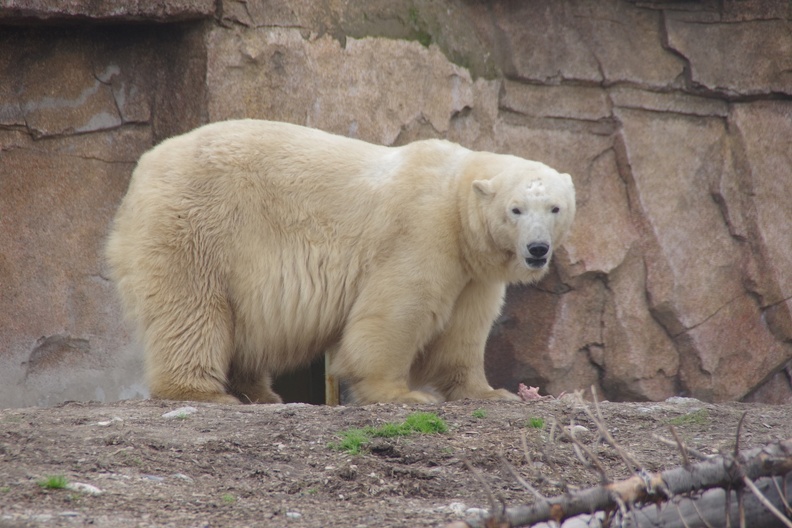 Marineland-136.JPG