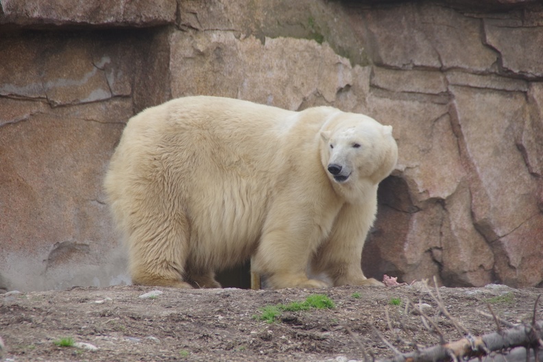 Marineland-137.JPG