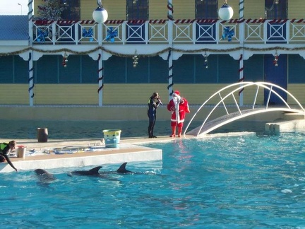 marineland 2002 0125