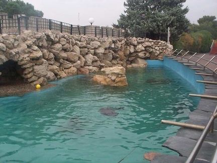 marineland 2003 0019