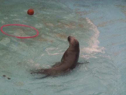 marineland 2003 0021