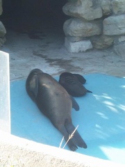 marineland 2003 0028