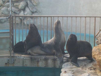 marineland 2003 0030